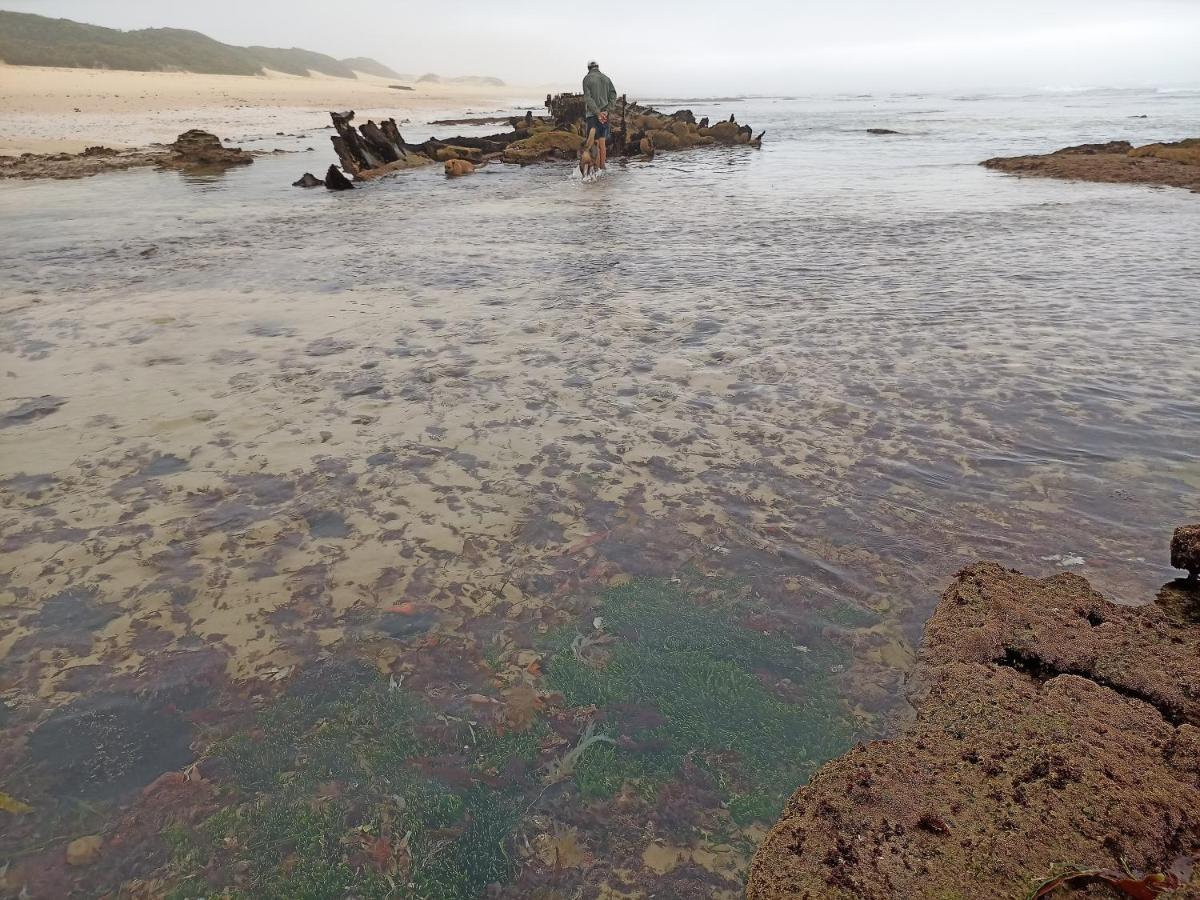 Beached House On Golden Sanddunes Cannon Rocks 外观 照片